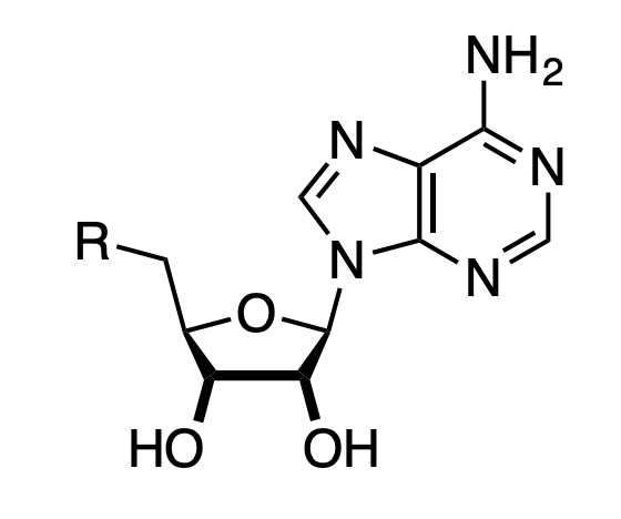 Methylthioadenosine analogue